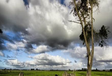 星空体育：“前国脚”高峰抛弃那英和刚出生的孩子，19年过去他怎么样了？.